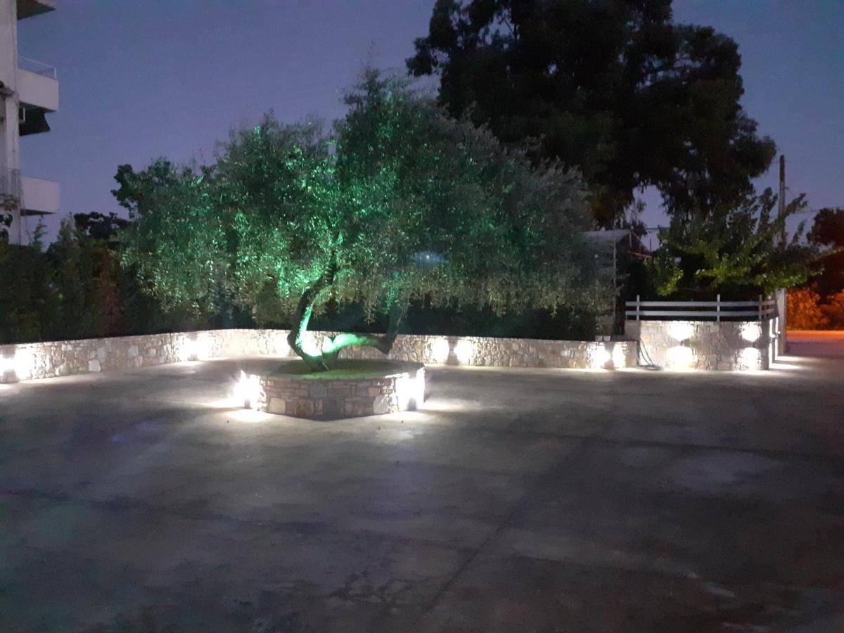 Blue Horizon Apartments&Maisonettes Limenaria  Bagian luar foto